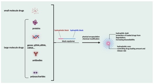Structure of polymeric micelles for loading small and large molecule drugs. (Wang, Qi, et al, 2023) (OA Literature)