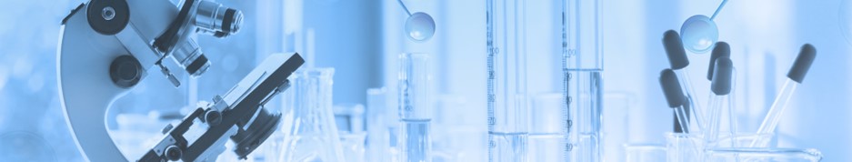 Comprehensive characterization services. (Creative Biolabs Authorized)