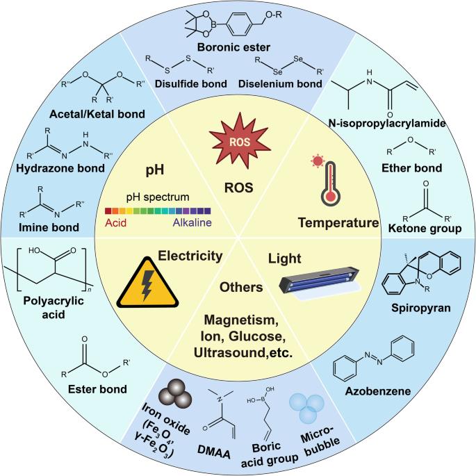 Fig. 3 Classification of various VLPs structure. (Creative Biolabs Authorized)