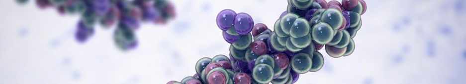 Stimulus-responsive hydrogel development services. (Creative Biolabs Authorized)