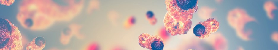 Drug-loading hydrogel development service. (Creative Biolabs Authorized)