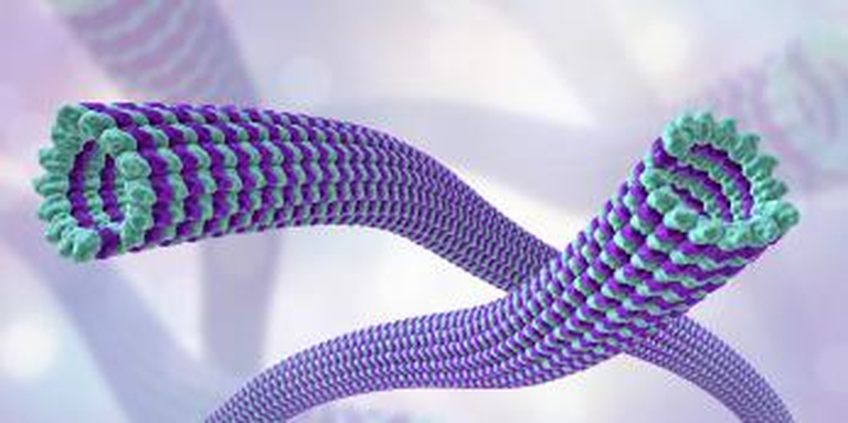 Polymeric Nanoparticles