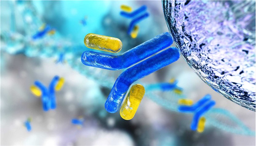 Our bioconjugation services. (Creative Biolabs Authorized)