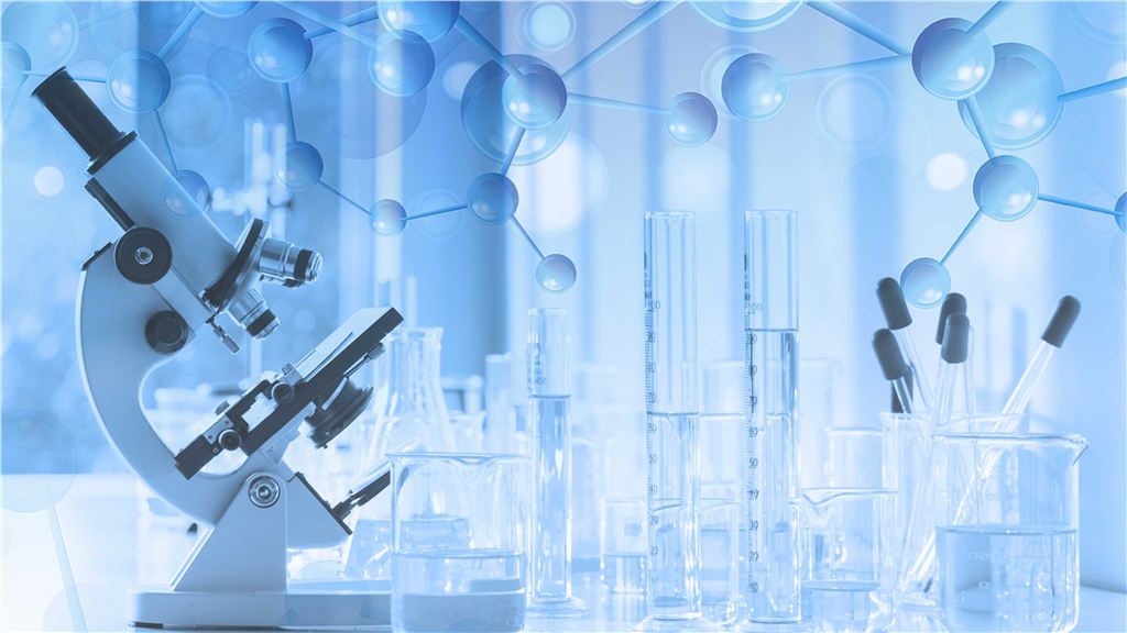 Our characterization services. (Creative Biolabs Authorized)