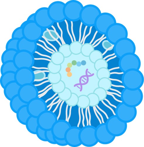 Drug delivery system for small molecules. (Creative Biolabs Original) 