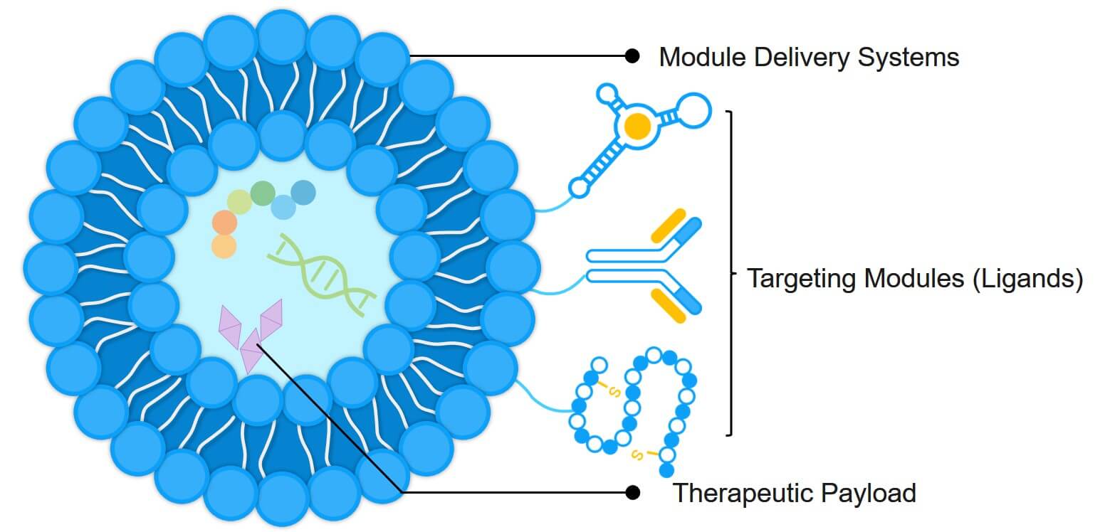 The composition of targeted delivery systems. (Creative Biolabs Original) 