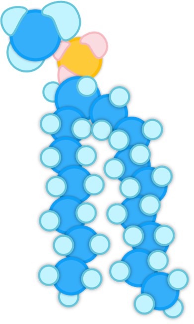 Targeted ligands -Lipids & Polymers. (Creative Biolabs Original) 