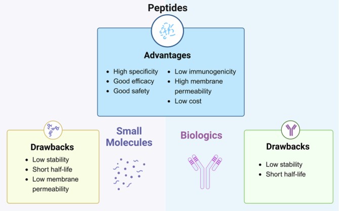 The advantages of peptides. (Xiao, Wenjing, et al, 2025) (OA Literature)