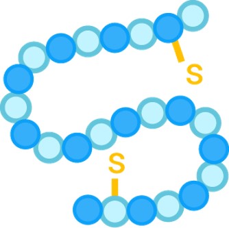 Our peptide synthesis service. (Creative Biolabs Original) 