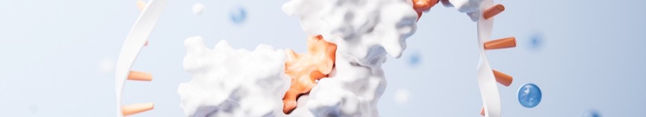 Professional targeted module synthesis service - Aptamer. (Creative Biolabs Authorized) 