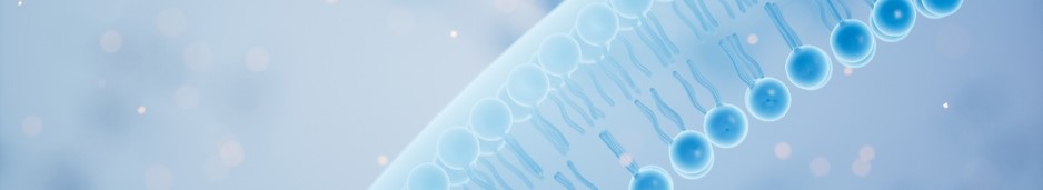 Professional targeted module synthesis service - Functionalized lipids. (Creative Biolabs Authorized)