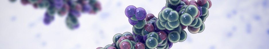Professional targeted module synthesis service - Targeted polymers/responsive materials. (Creative Biolabs Authorized)