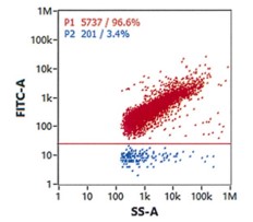 Case: T-cell targeted delivery of mRNA using LNP conjugated with CD5 antibody (Creative Biolabs Original)