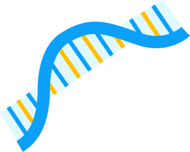 Targeted delivery of nucleic acids – mRNA (Creative Biolabs Original) 