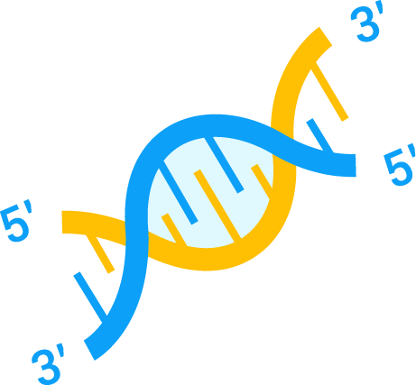 Targeted delivery of nucleic acids – siRNA (Creative Biolabs Original)
