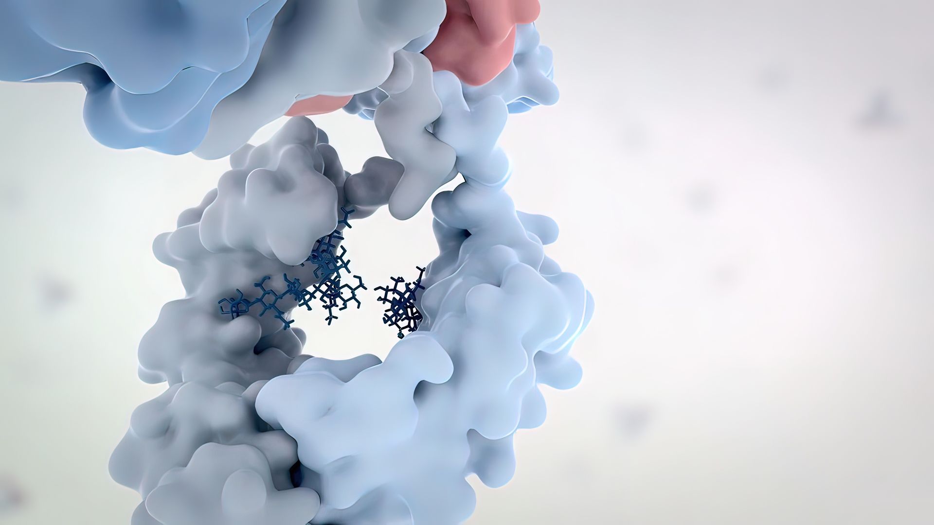 Our precise delivery service for protein/peptide-based drugs. (Creative Biolabs Authorized) 
