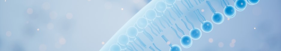 Our functionalized lipid synthesis service. (Creative Biolabs Authorized)