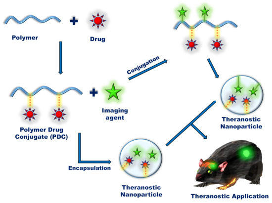 Schematic of the preparation of polymer-drug conjugate-based theranostic nanoparticles. (OA Literature)