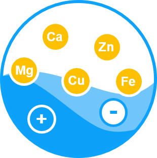 Mineral & Ion