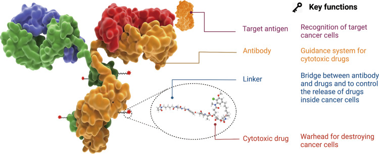 Schematic of the structure and characteristic of an ADC drug. (OA Literature)