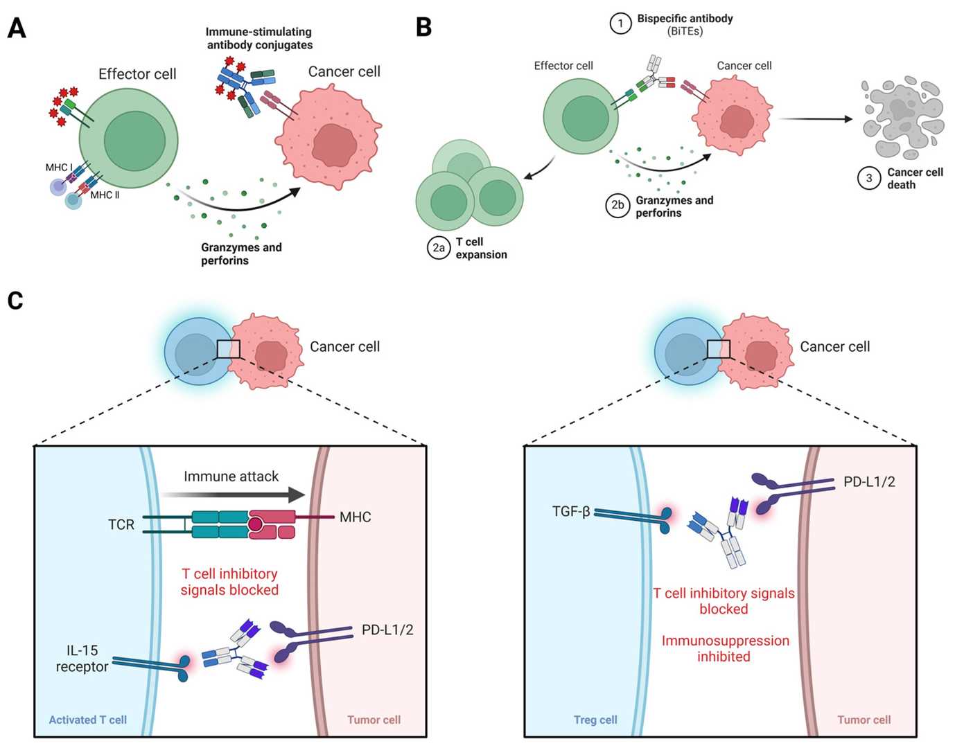 Mechanisms of action of Antibody-based immune-stimulating drugs (ABIs). (OA Literature)
