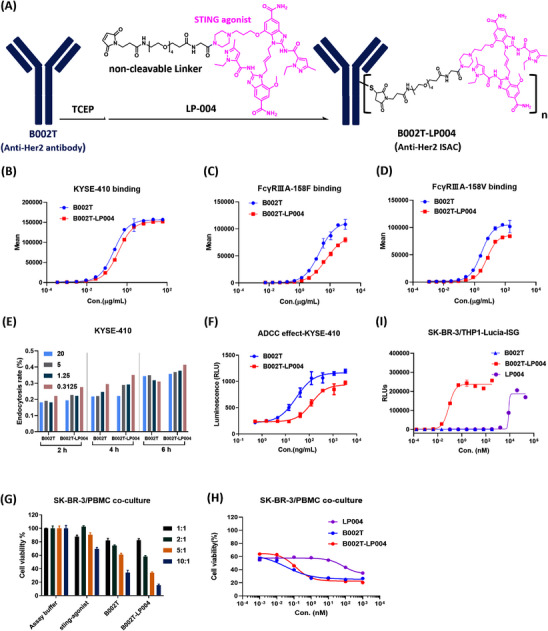 The design of the STING agonist immune‐stimulating antibody conjugate and its physicochemical experiments and biological activities at the cellular level. (OA Literature)