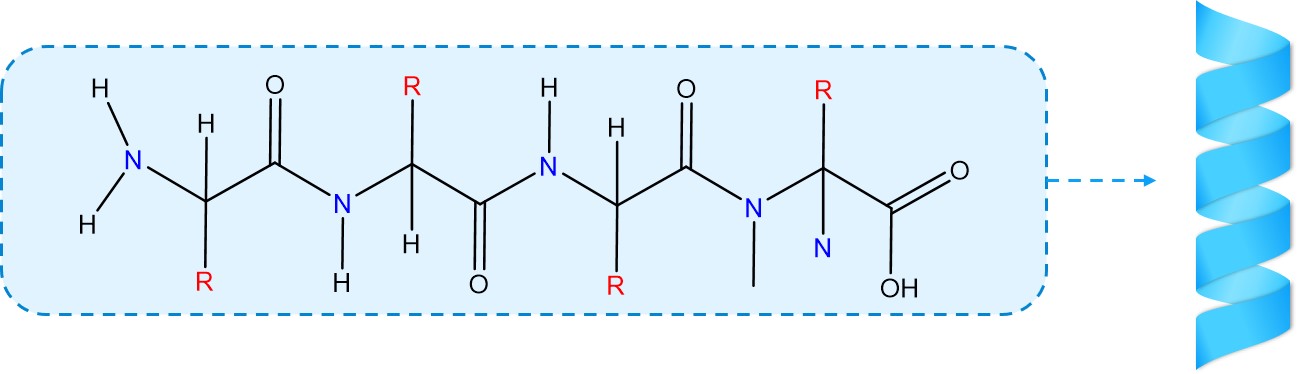 The structure of keratin. (Creative Biolabs Original)
