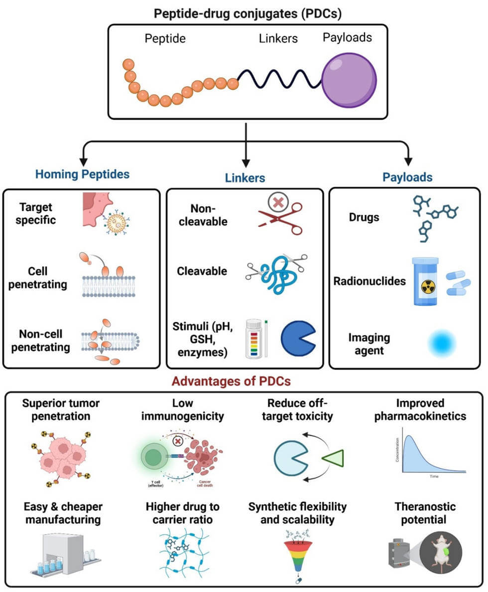 Schematic of peptide–drug conjugate (PDC). (OA Literature)