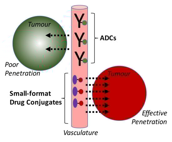 Schematic of the comparison of antibody–drug conjugates (ADCs) and small-molecule drug conjugates (SMDCs) targeting Tumour. (OA Literature)