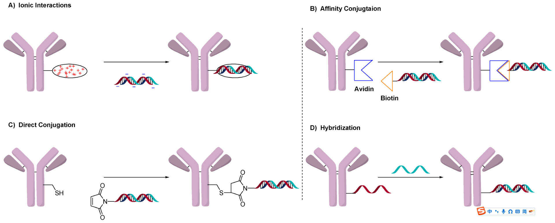 Schematic of general methods to conjugate oligonucleotides. (OA Literature)