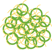Ordinary Zein Nanoparticles. (Creative Biolabs Original)