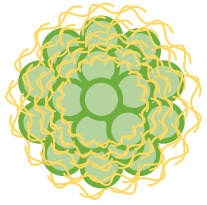 Surface-coated Zein nanoparticles. (Creative Biolabs Original)