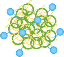Functionalized Zein Nanoparticles. (Creative Biolabs Original)