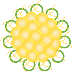 Metal-Loaded Zein Nanoparticles. (Creative Biolabs Original)