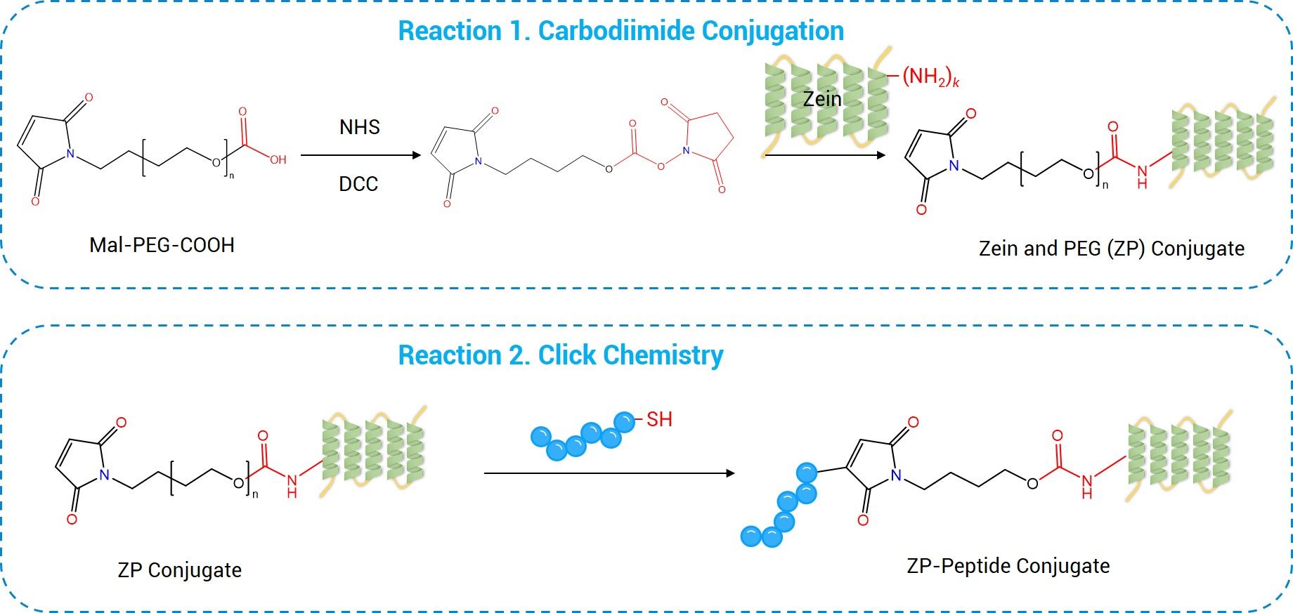The synthesis route of functionalized Zein Nanoparticles. (Creative Biolabs Original) 
