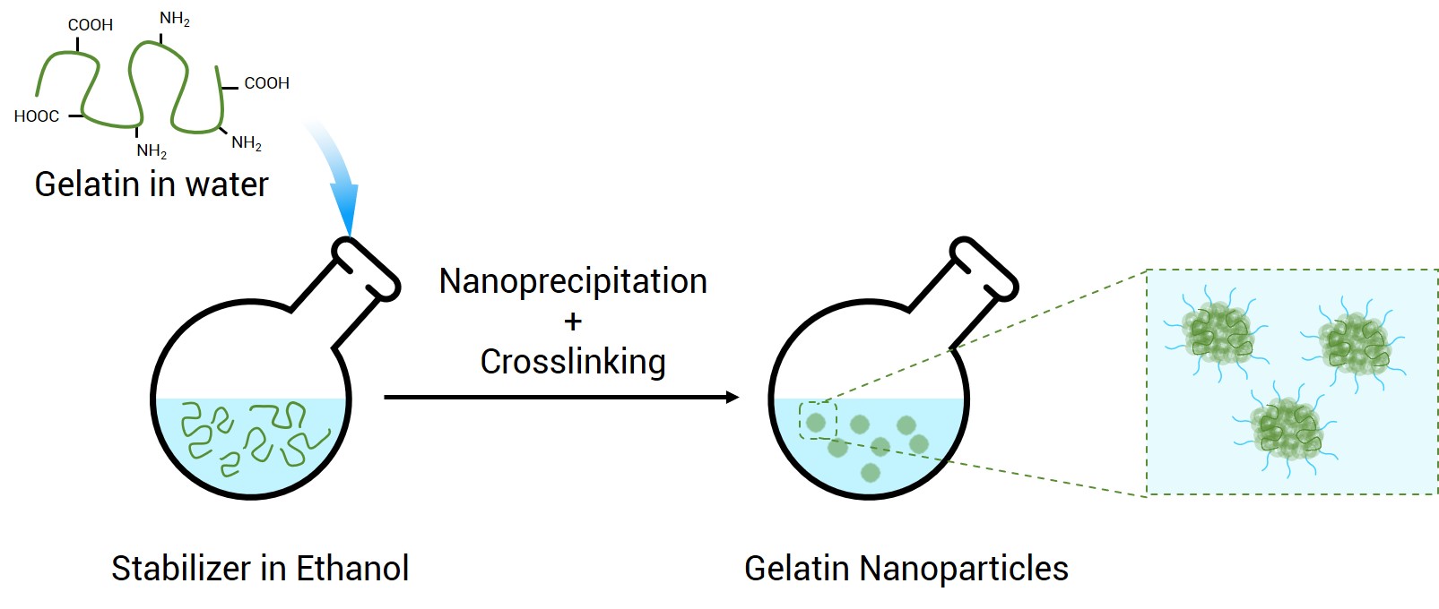 The preparation method of gelatin nanoparticles. (Creative Biolabs Original)