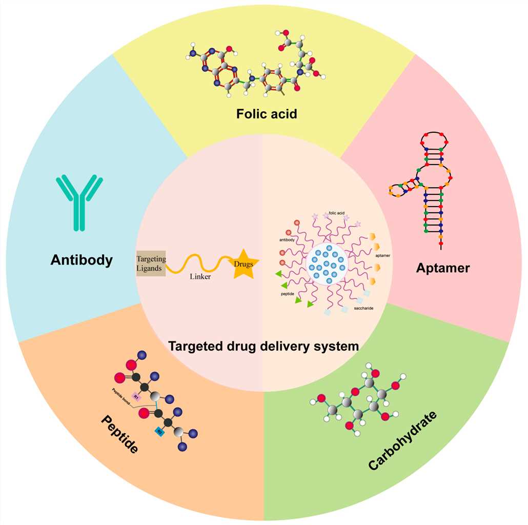 Schematic of different targeting ligands-mediated drug delivery systems. (OA Literature)