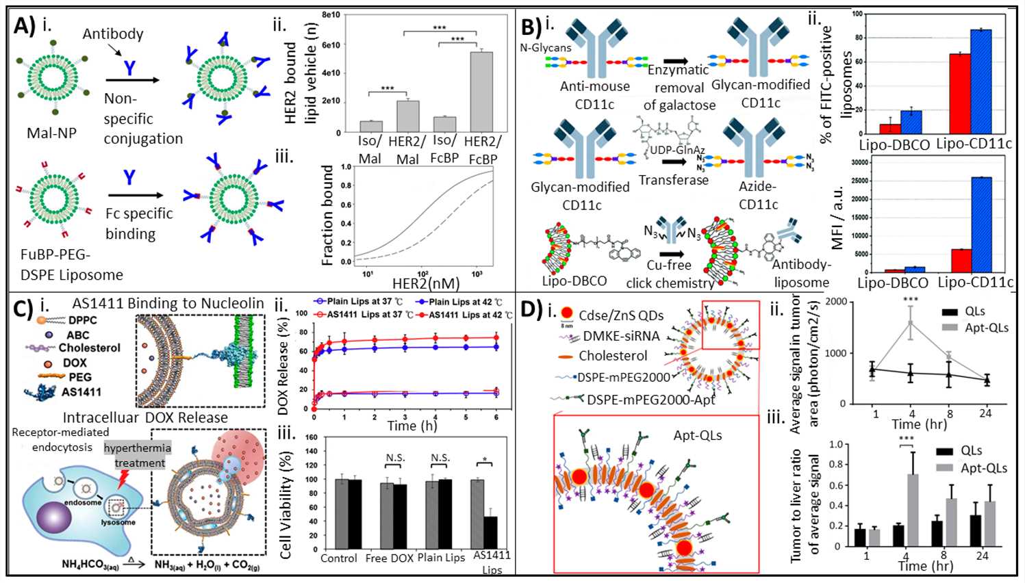Schematic of bioconjugation strategies using antibodies and aptamers for improved drug targeting and delivery. (OA Literature)
