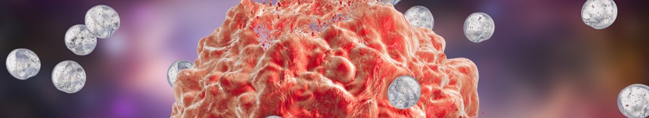 Our service -size and distribution. (Creative Biolabs Authorized)