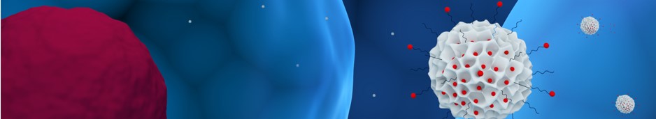 Our service -shape and morphology. (Creative Biolabs Authorized)