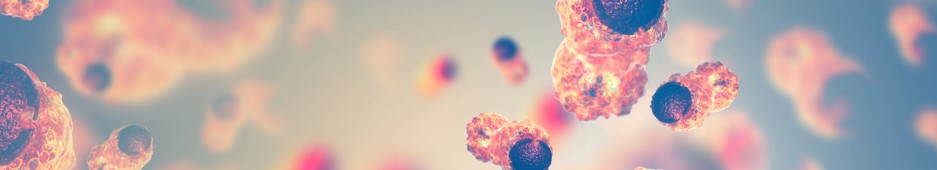 Our service -zeta potential. (Creative Biolabs Authorized)