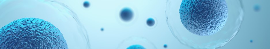 Our service -structure and composition. (Creative Biolabs Authorized)