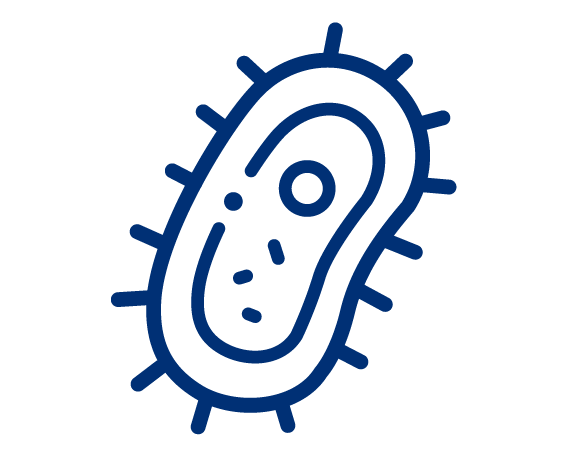 Microbial targeting. (Creative Biolabs Original)