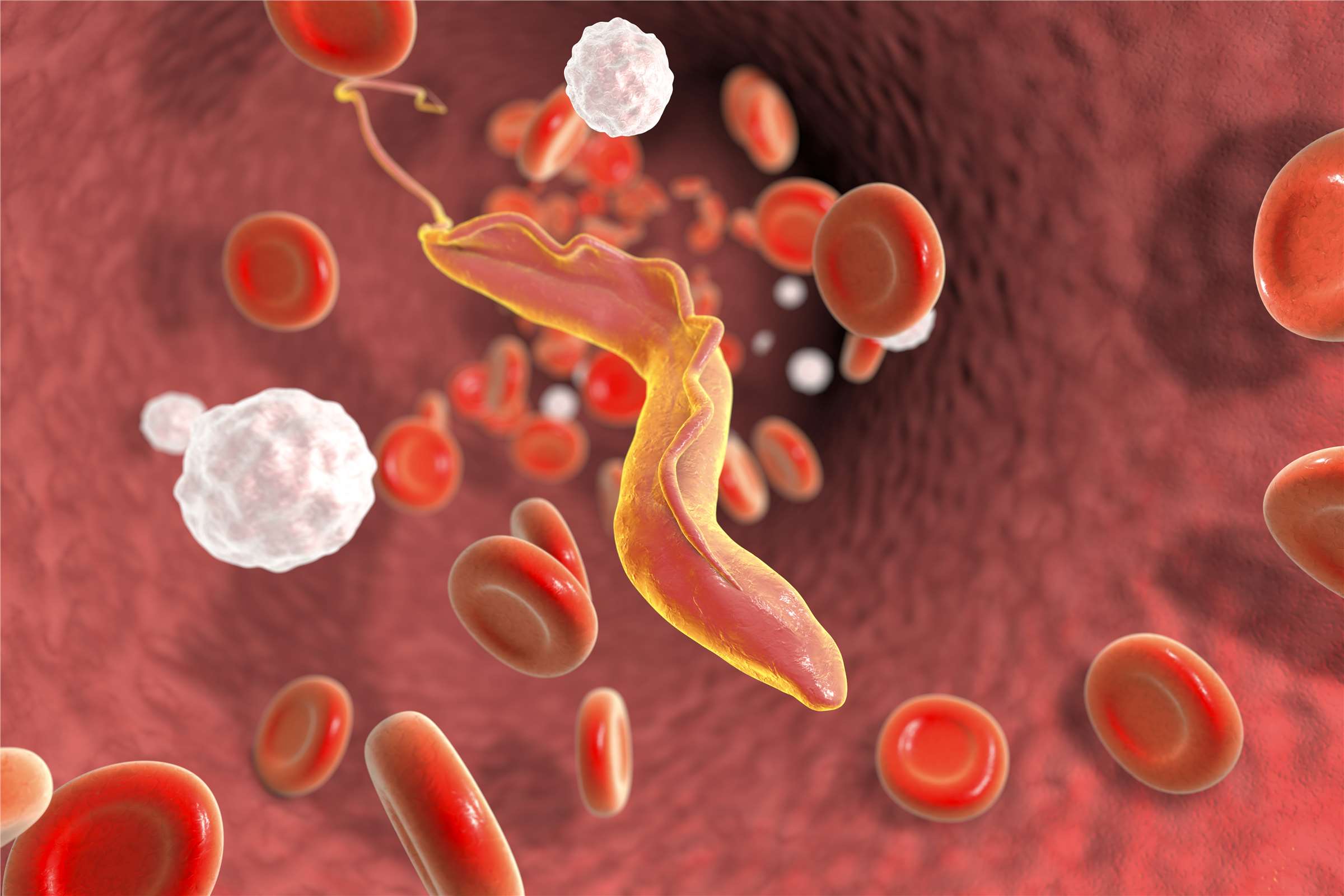 Targeted strategies for trans-barrier drug delivery. (Creative Biolabs Authorized)