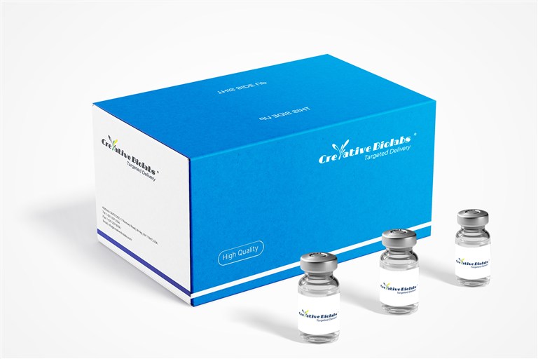 Products-targeted drug delivery kits. (Creative Biolabs Original)