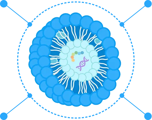 The advantages of liposomes. (Creative Biolabs Original) 