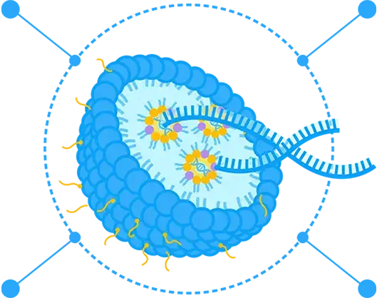 The advantages of LNP. (Creative Biolabs Original) 