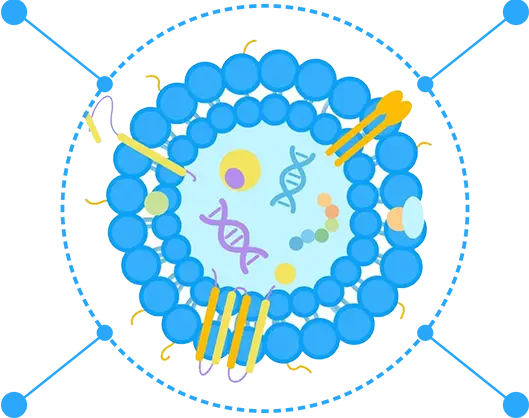 The advantages of exosomes. (Creative Biolabs Original)