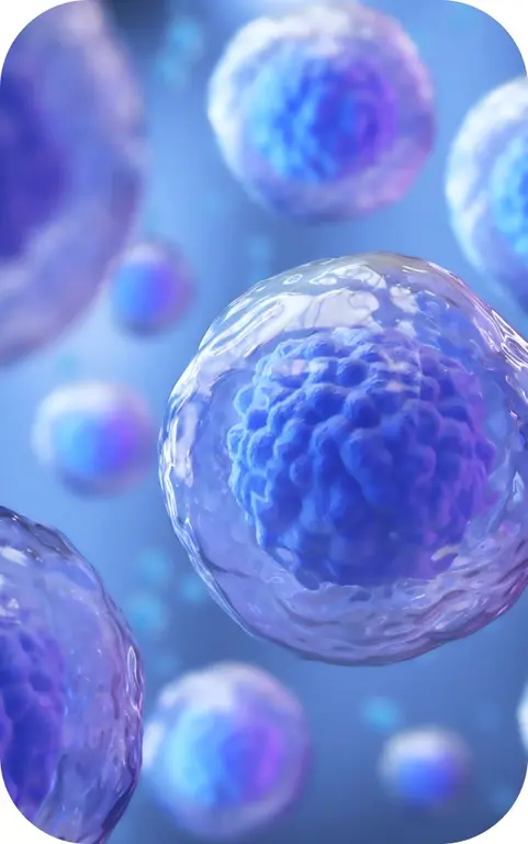 Applications of our advanced exosomes. (Creative Biolabs Authorized) 