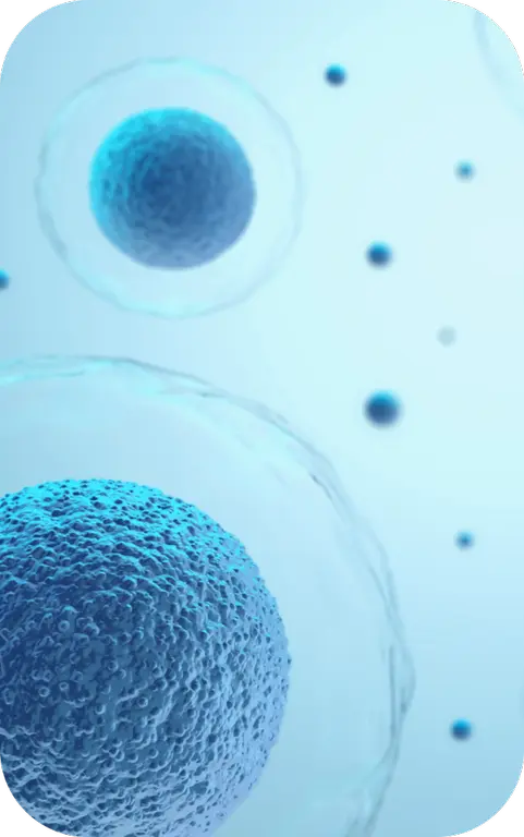 Applications of the Module Delivery System. (Creative Biolabs Authorized)